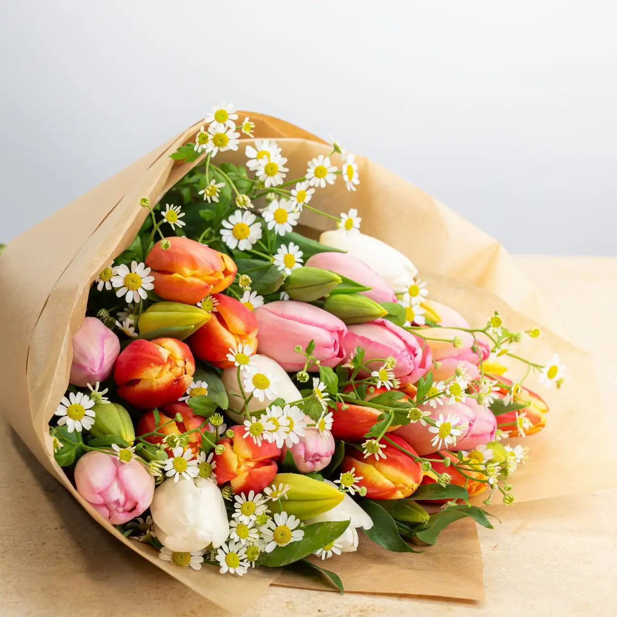 Brassé Tulipe